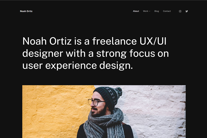 Portfolio Website Themes